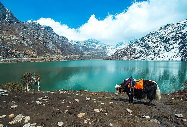 Tsangmo Lake in Sikkim, India.